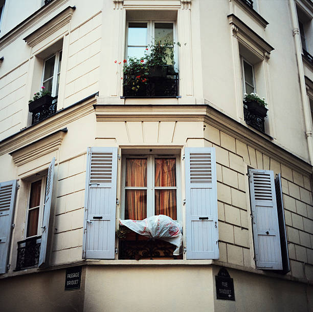 appartement à paris infesté de punaise de lit